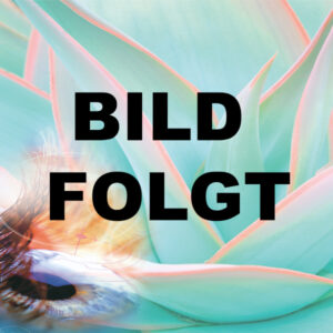 Operationsmikroskop Zeiss Lumera 700 mit Callisto